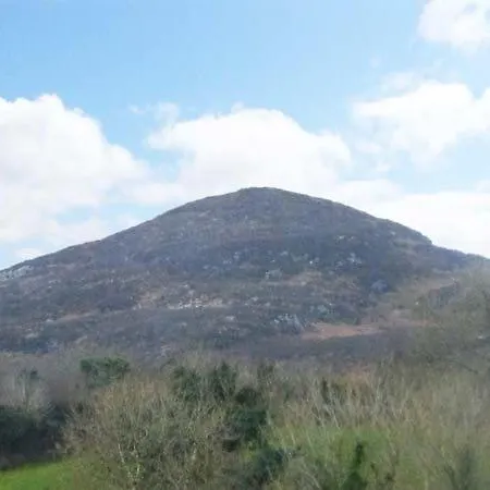 Raven's Rock Farm Ballisodare Sligo